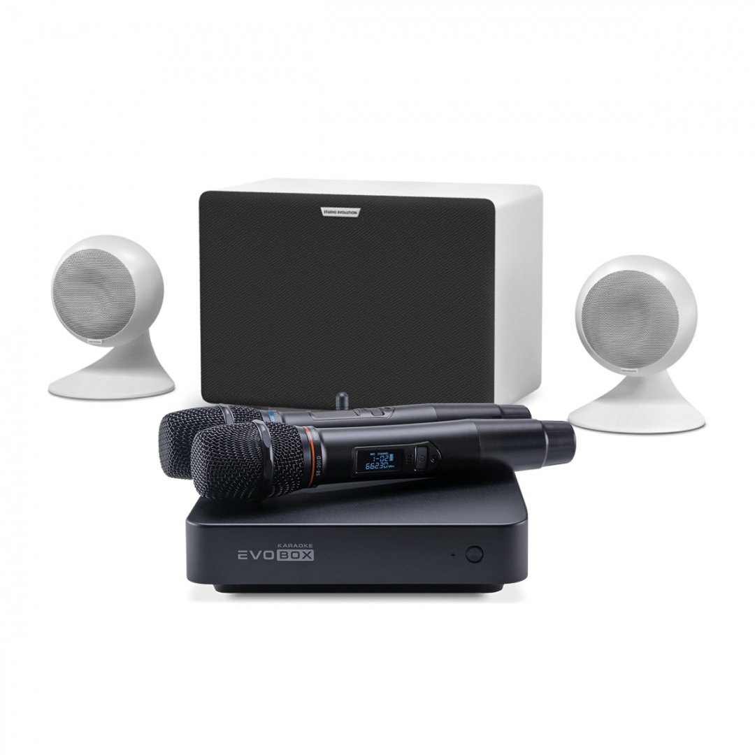 караоке-комплект EVOBOX Classic + EvoSound Sphere 2.1 в Ефремове