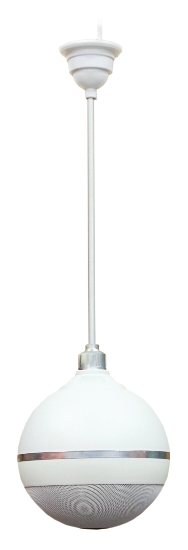 SVS Audiotechnik BWS-603 Громкоговоритель подвесной потолочный в Ефремове