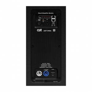 Активная акустическая система AST-310A в Ефремове