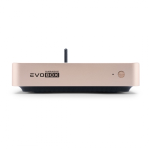 EVOBOX Plus караоке-система для дома в Ефремове