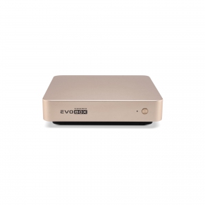 EVOBOX с микрофонами в Ефремове